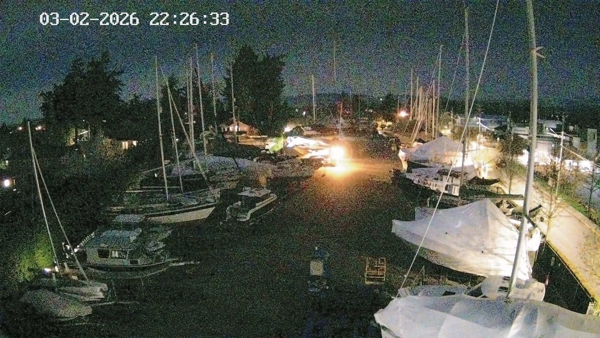 Vancouver Island Marina 6