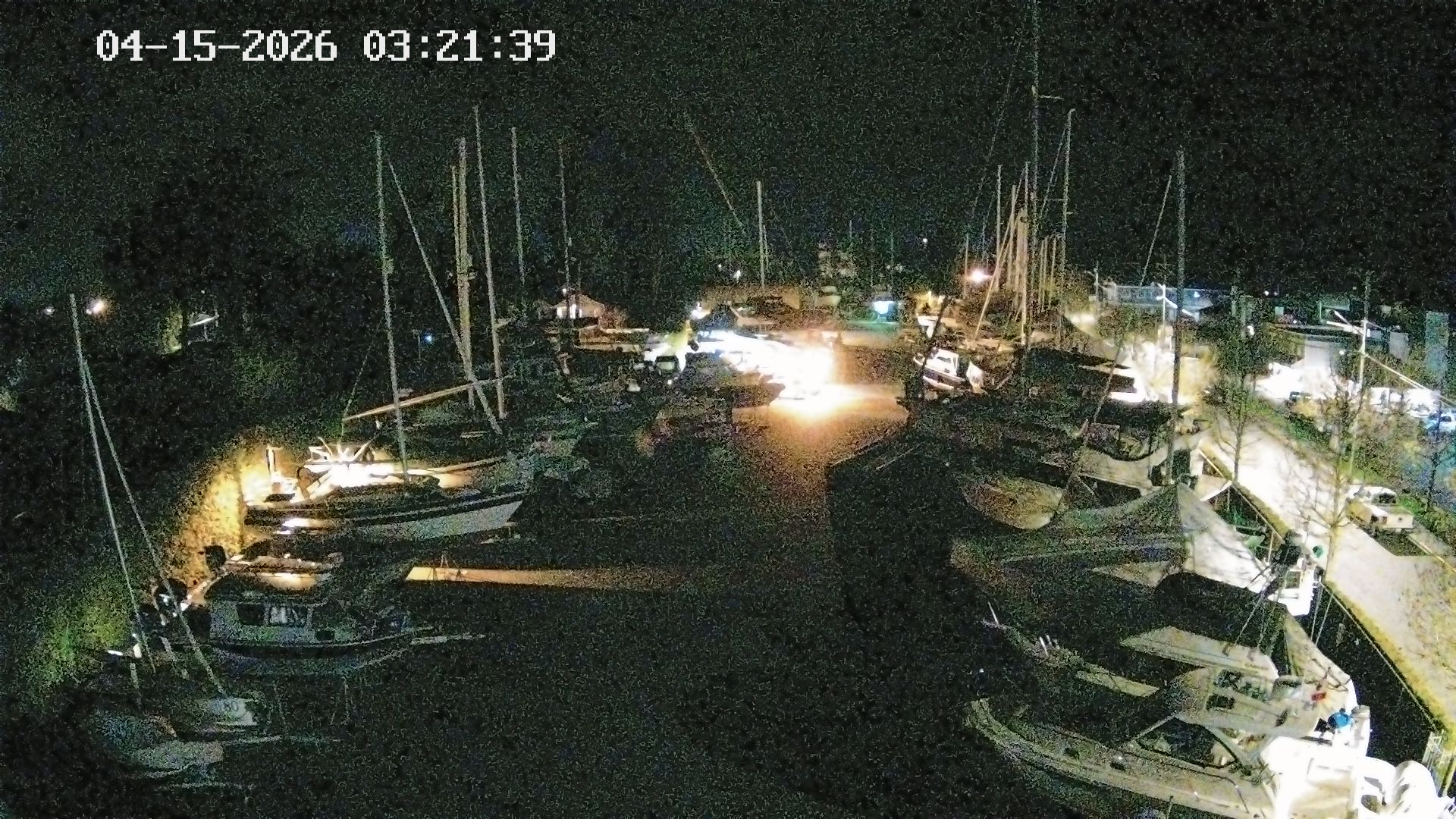 Vancouver Island Marina 6