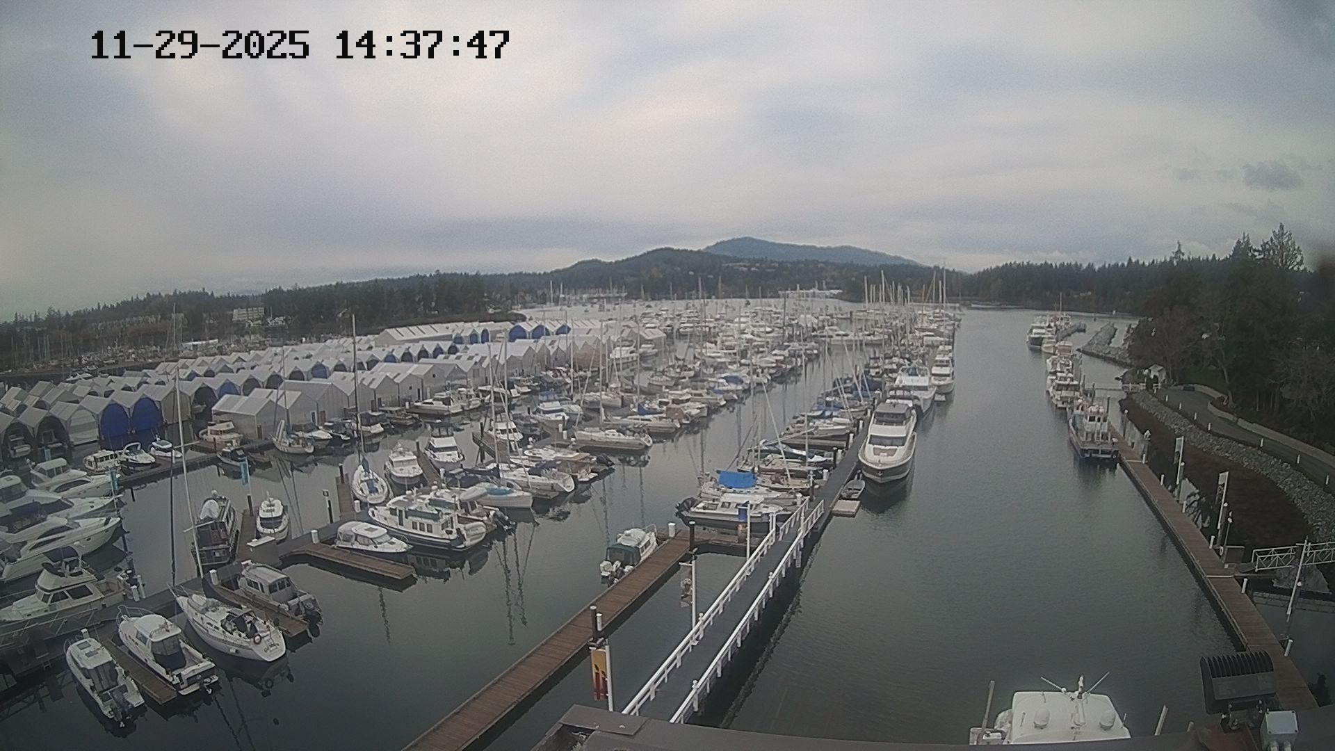 Vancouver Island Marina 2
