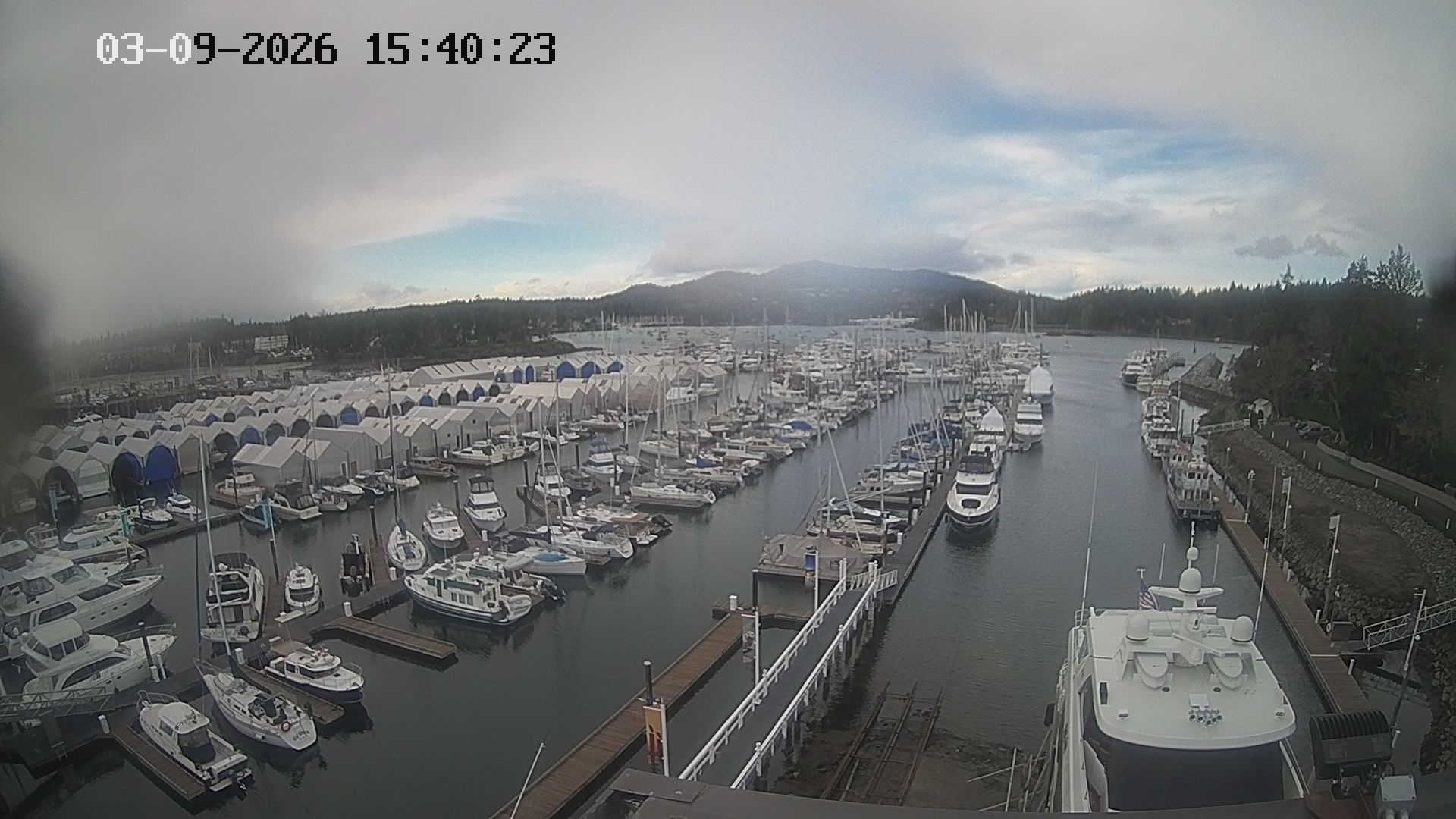 Vancouver Island Marina 2