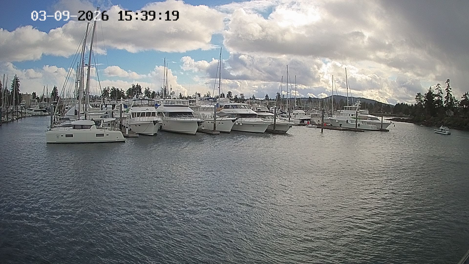 Vancouver Island Marina 3