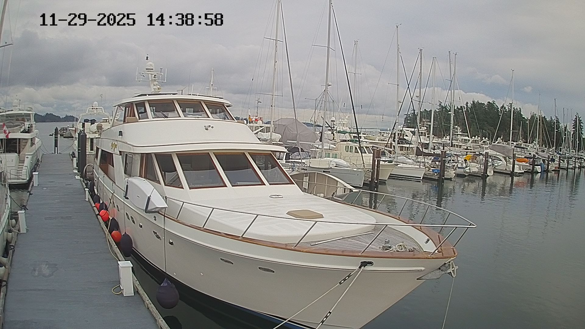 Vancouver Island Marina 4