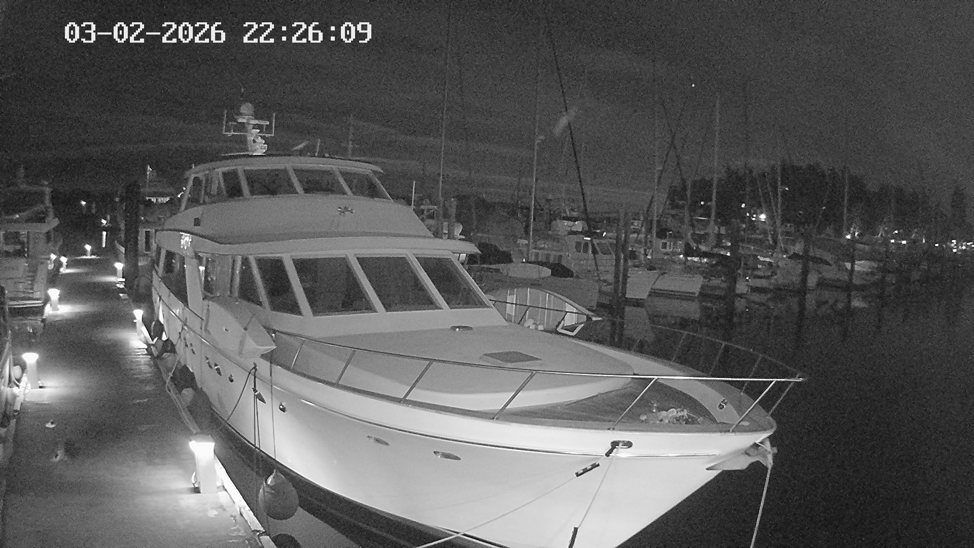 Vancouver Island Marina 4