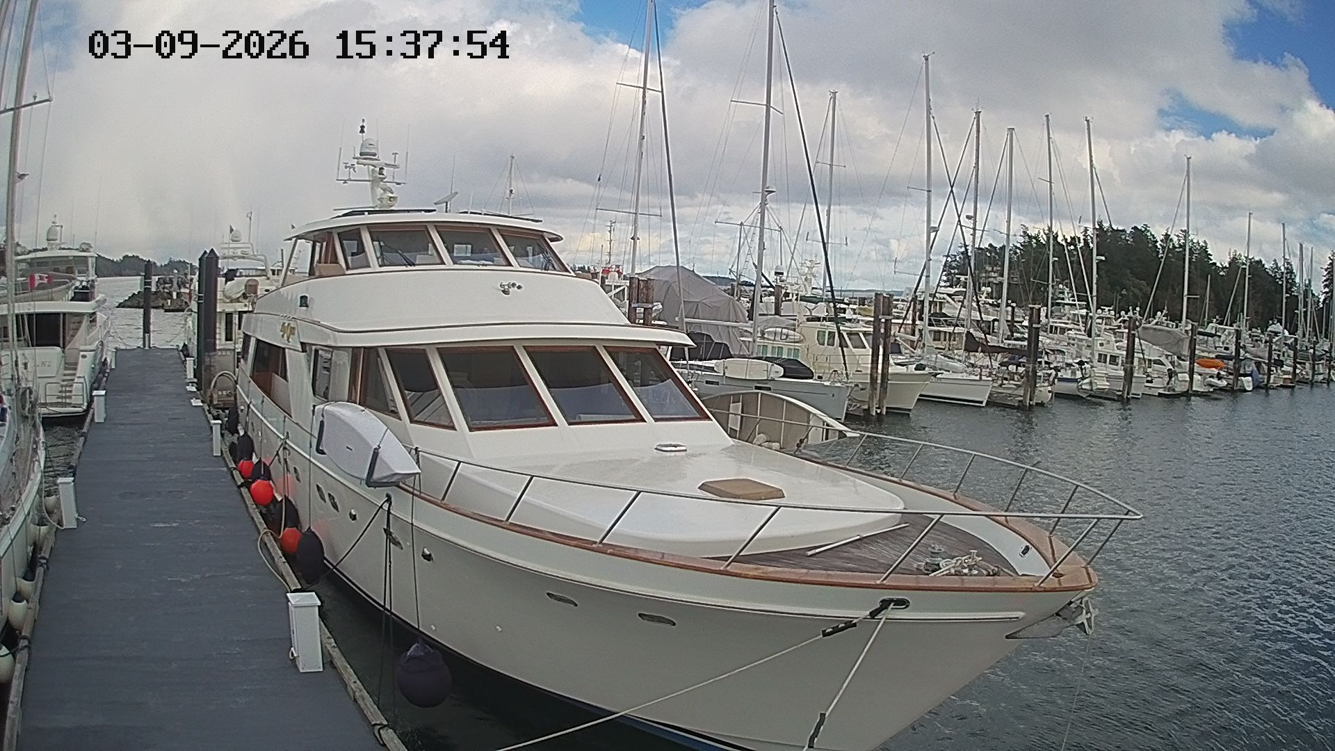 Vancouver Island Marina 4