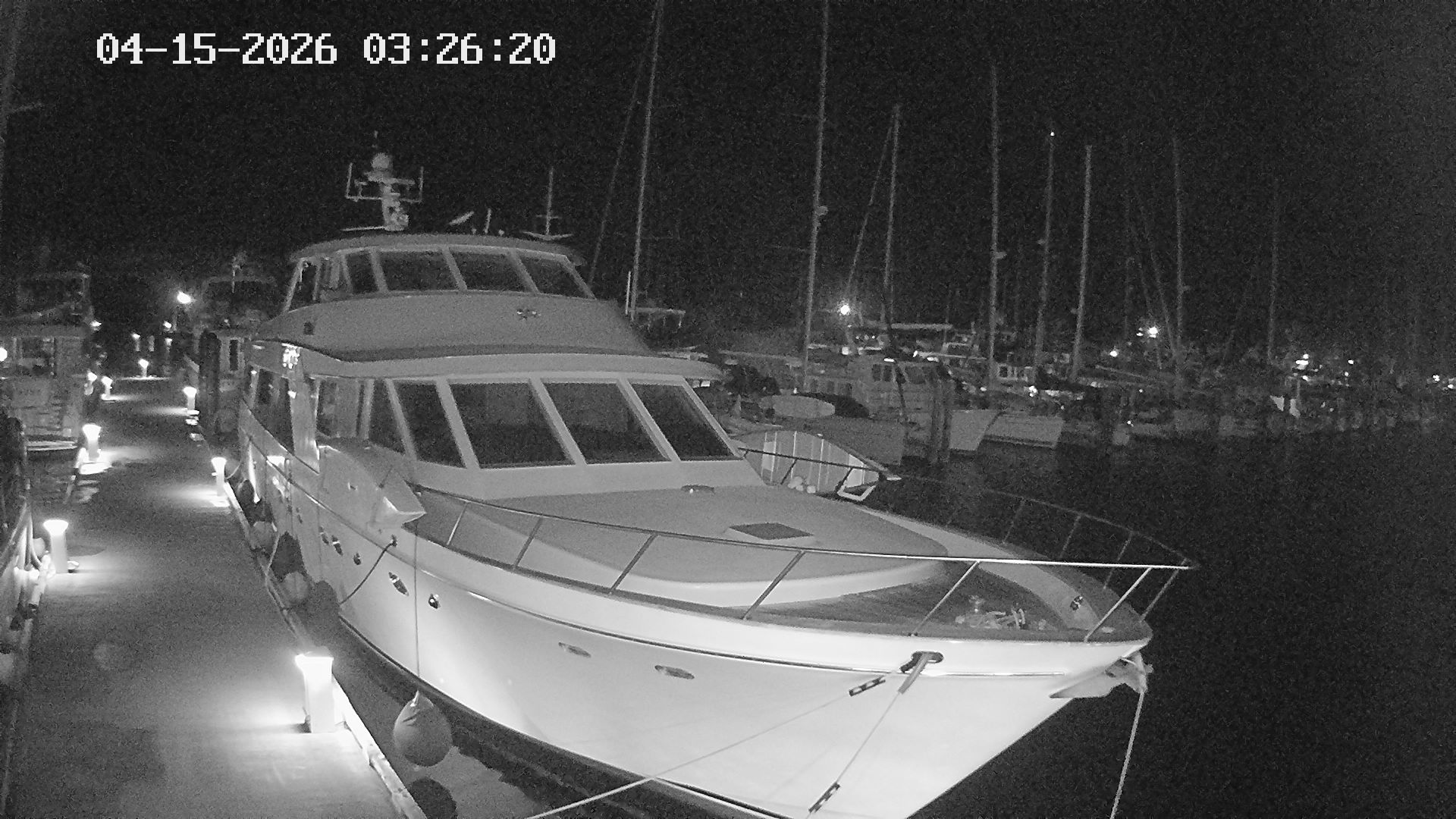 Vancouver Island Marina 4