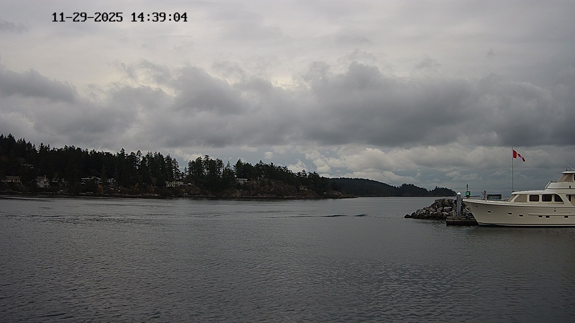 Vancouver Island Marina 5