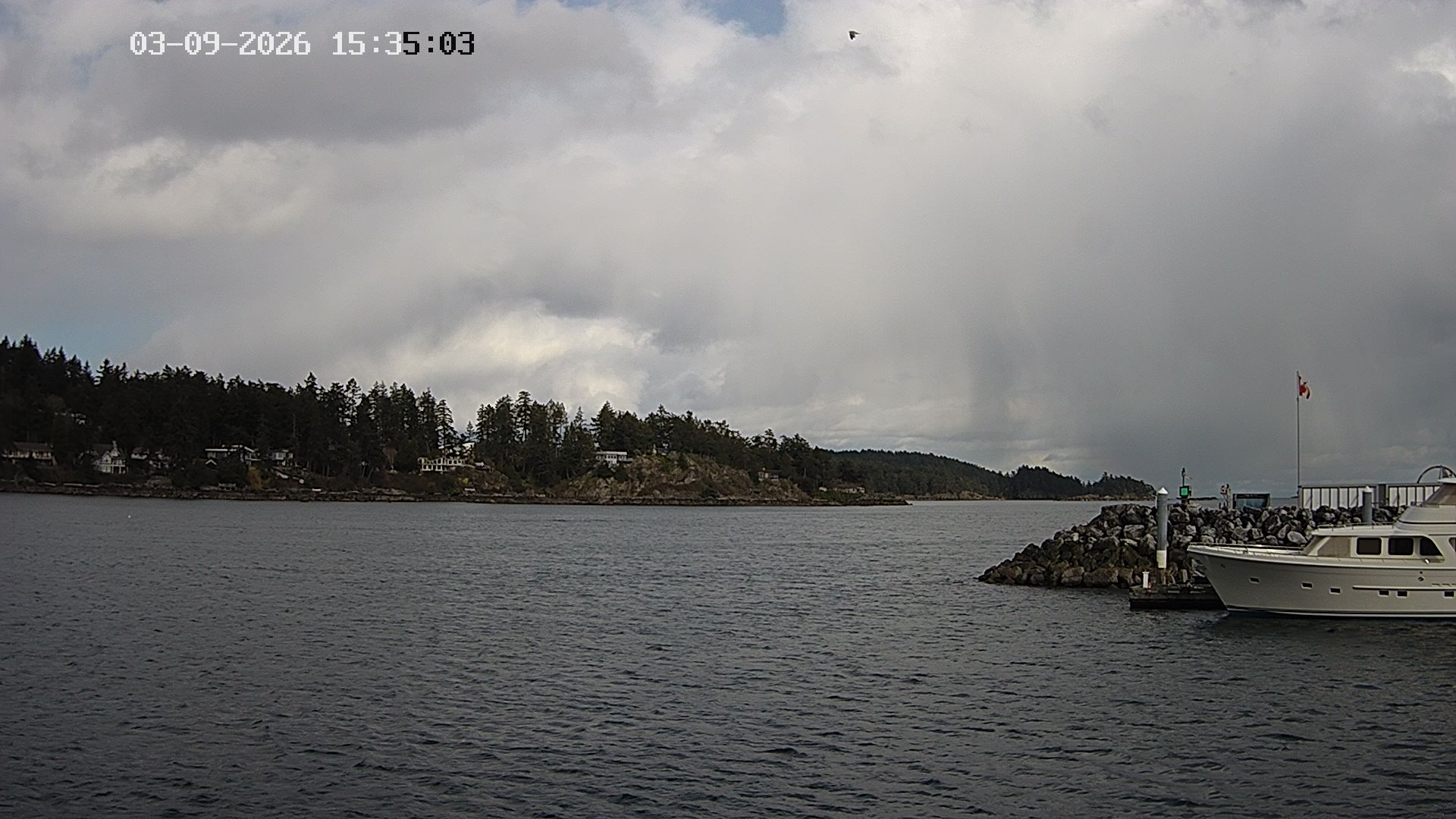 Vancouver Island Marina 5