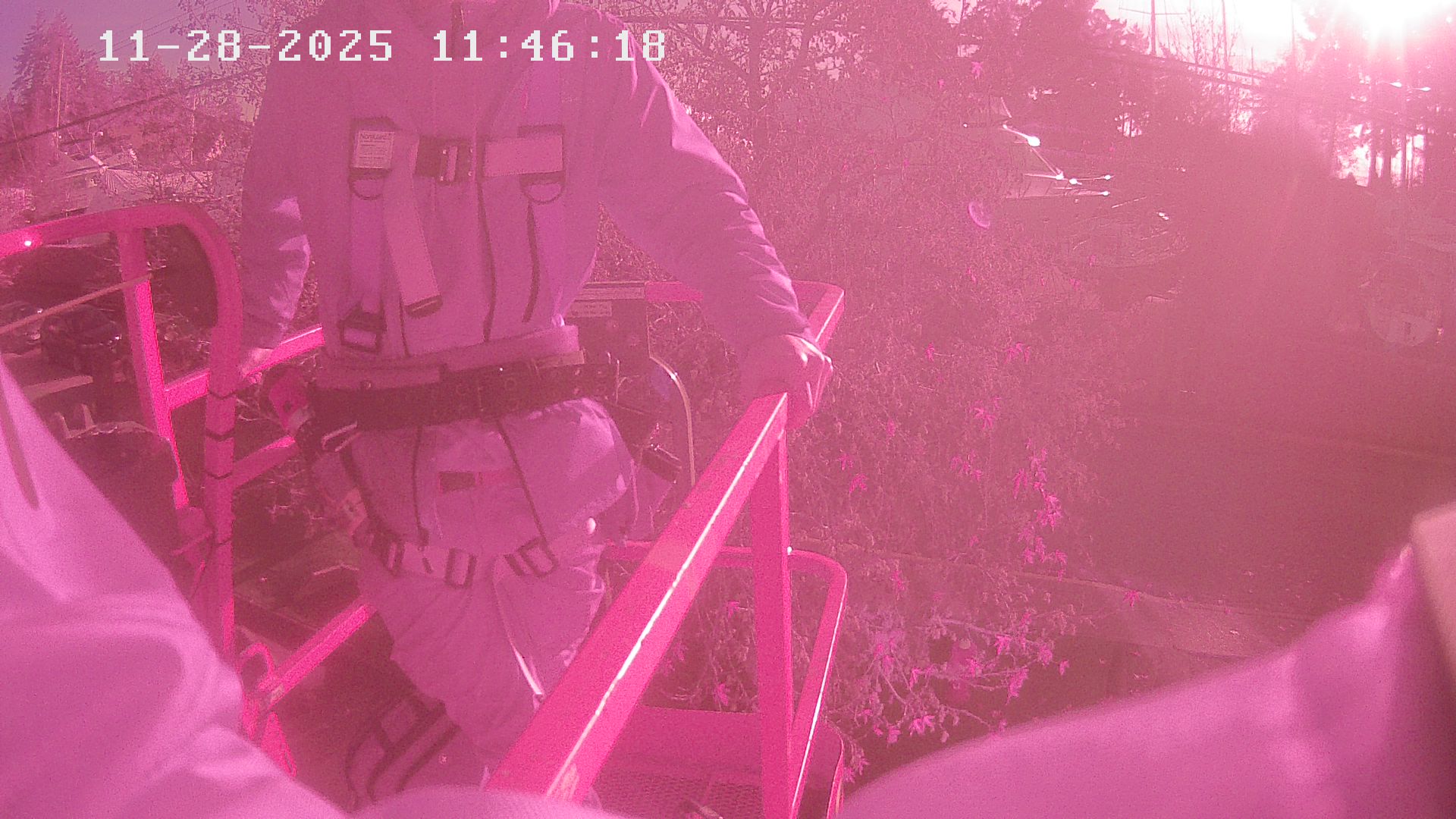 Vancouver Island Marina 8